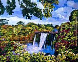 Hawaiian Paradise Falls